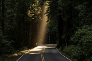 Trail shot from a Boston Trail