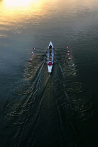 Image of a Canoe during a race in the Boston Bay