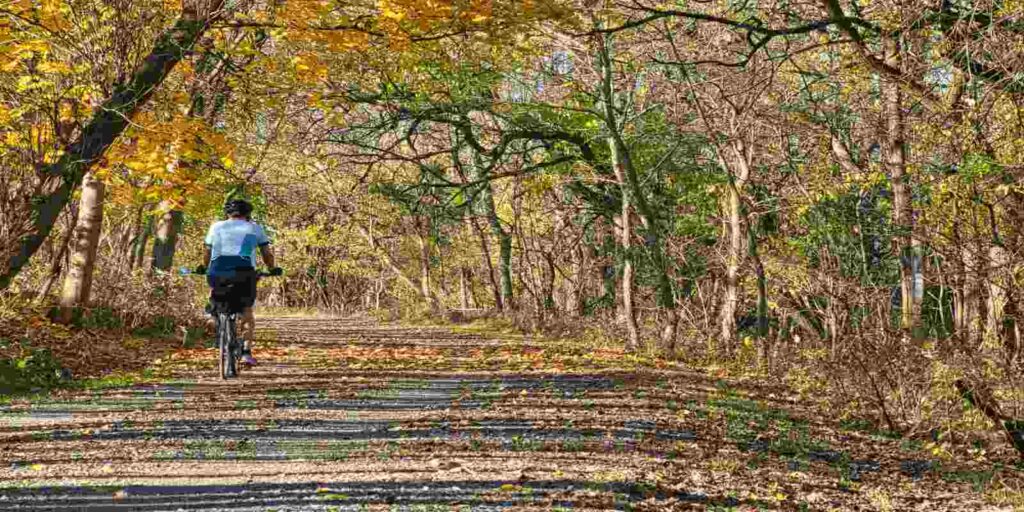 A Biker riding down a suburban trail near boston