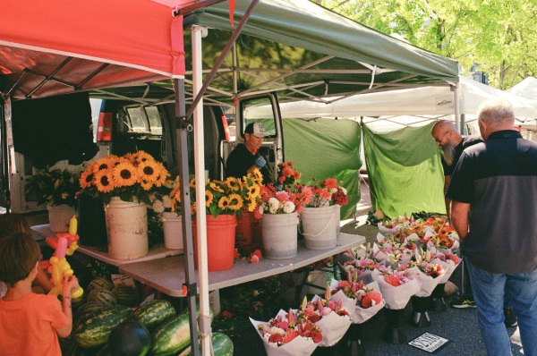 boston fall market event