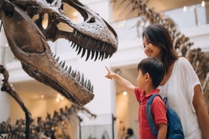 Boy with His Mom Observing Dinosaur Skeleton in Museum