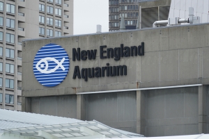 New England Aquarium in Boston